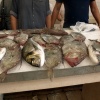 Рыбный рынок Сплита