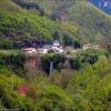 Монастырь Морача в Черногории