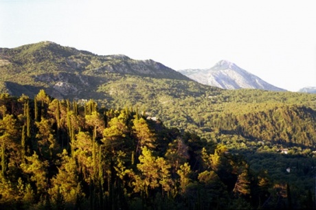 Зеленые горы Черногории