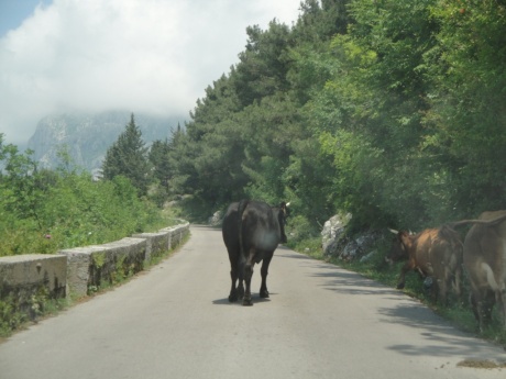 По Черногории на машине