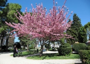 В Хорватию весной
