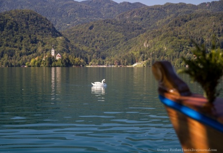 Словения: озеро Блед