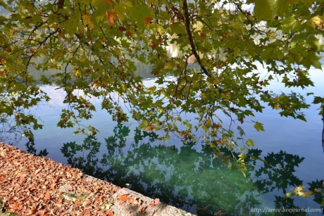 Словения. Озеро Блед.