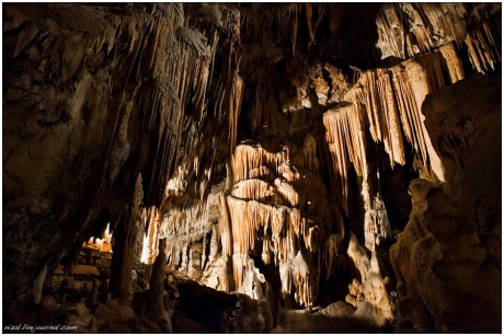 Пещеры Словении: Постойнска Яма, плато Карст.