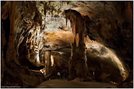 Пещеры Словении: Постойнска Яма, плато Карст.
