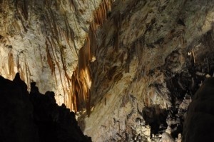 Словения, Постойнская пещера