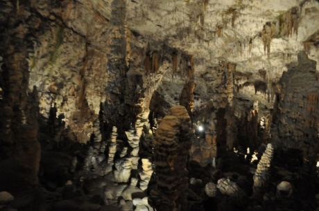 Словения. Часть 2. Постойнские пещеры и Предъямский замок