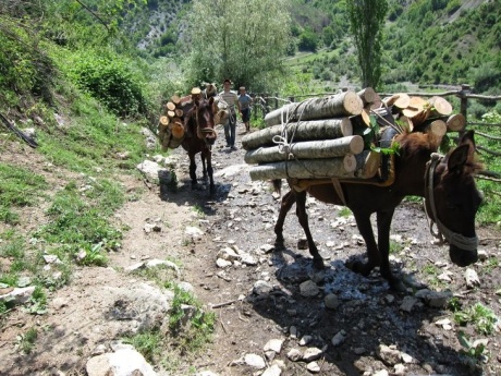 Албанский периметр: на велосипеде по балканским озёрам. Часть 2
