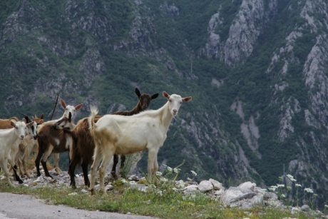 Черногория – самостоятельное путешествие, июнь 2016 года.
