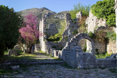 Цветущая Черногория в апреле. Много фото.