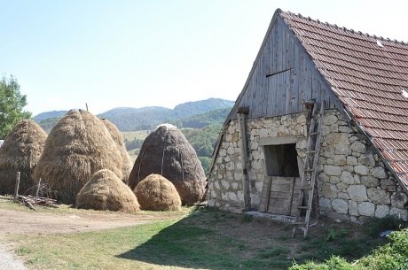 Старый и Малый в Черногории. Август 2010
