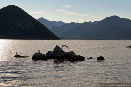 Черногория. Скадарское озеро