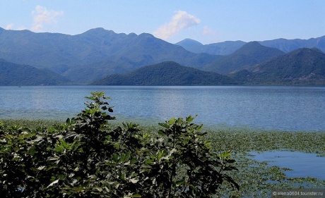 Черногория: Скадарское озеро.