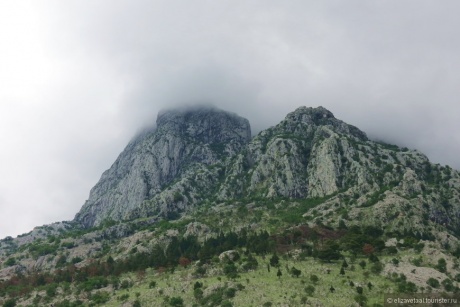 Черногория — бархатные леса