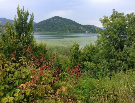 Вид на Скадарское озеро с пляжа