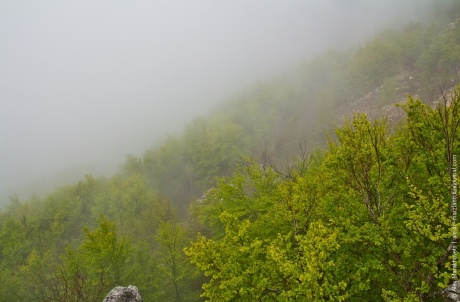 Про ёжиков в тумане черногорского парка Ловчен и Котор с высоты...
