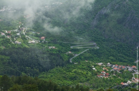 Про ёжиков в тумане черногорского парка Ловчен и Котор с высоты...