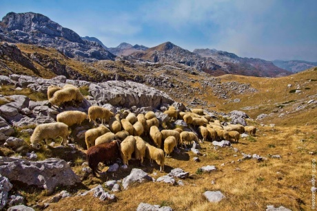 Многодневный Поход По Горам Черногории:Часть 2 - От Букомирского озера