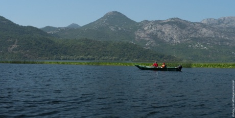 Скадарское озеро летом