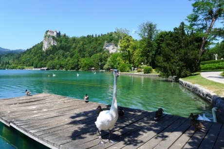 Словения. Июль 2011. Море, горы и озера (Часть 3)