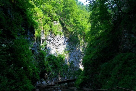 Ущелье Винтгар в Словении. Часть 1