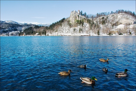 Словения: рекомендации по поездке