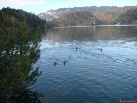 Открыточные пейзажи словенских озер