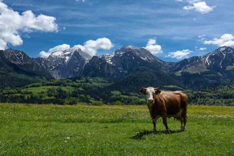 Фотоотчет с фототура Альпы трех стран