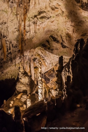 Пещера Постойнска-Яма, Словения.