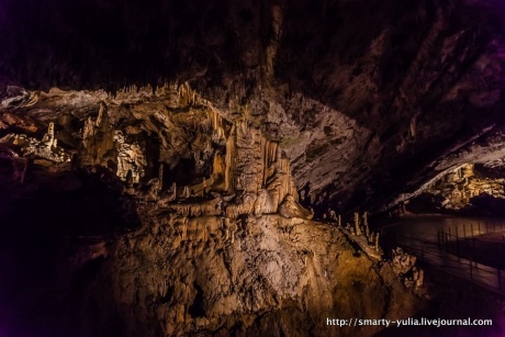 Пещера Постойнска-Яма, Словения.