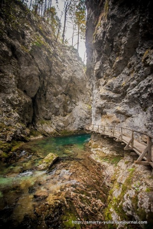 Ущелье Винтгар в Словении