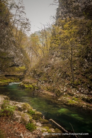 Ущелье Винтгар в Словении