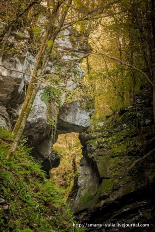 Словения: Водопад Козяк