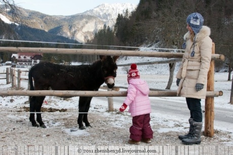 Экотуризм в словенских Альпах. Или как мы встречали Рождество.