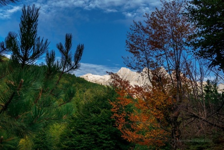 Албанская осень.