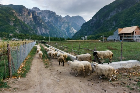 Албанские Альпы. Долгая дорога в Сэс.