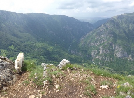 Черногория: курортная и не очень. День 8 - Каньон реки Тара.