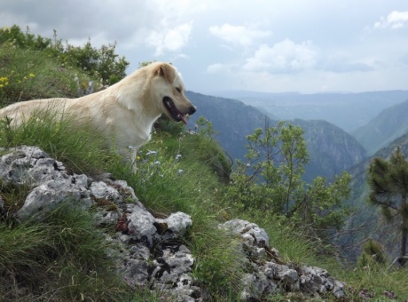 Черногория: курортная и не очень. День 8 - Каньон реки Тара.