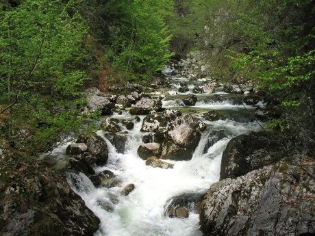 Блед и Бохинь — озерный край Словении