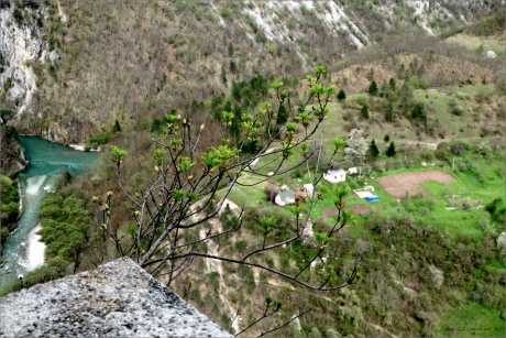 Многоликая Черногория