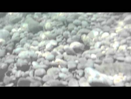 Подводные съемки - Остров Крк Видео